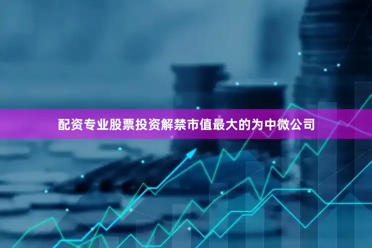 配资专业股票投资解禁市值最大的为中微公司
