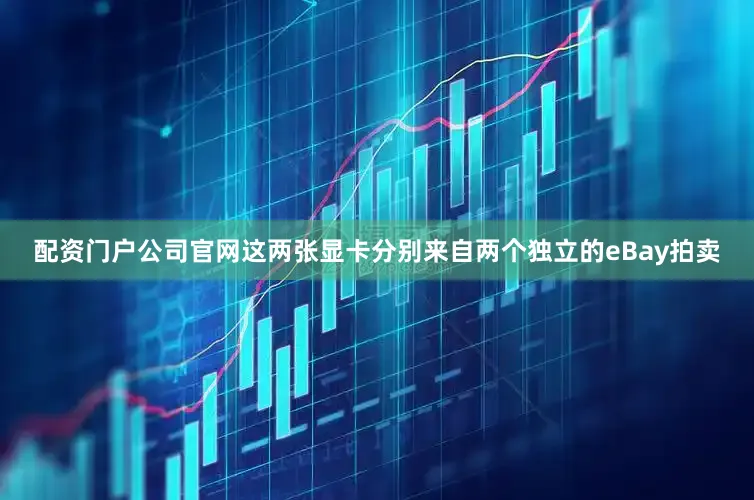 配资门户公司官网这两张显卡分别来自两个独立的eBay拍卖