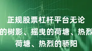 正规股票杠杆平台无论是斑驳的树影、摇曳的荷塘、热烈的骄阳