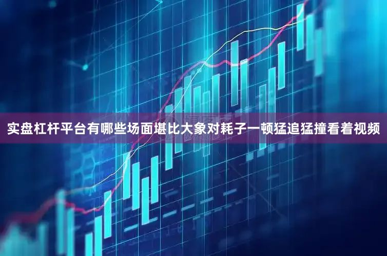 实盘杠杆平台有哪些场面堪比大象对耗子一顿猛追猛撞看着视频