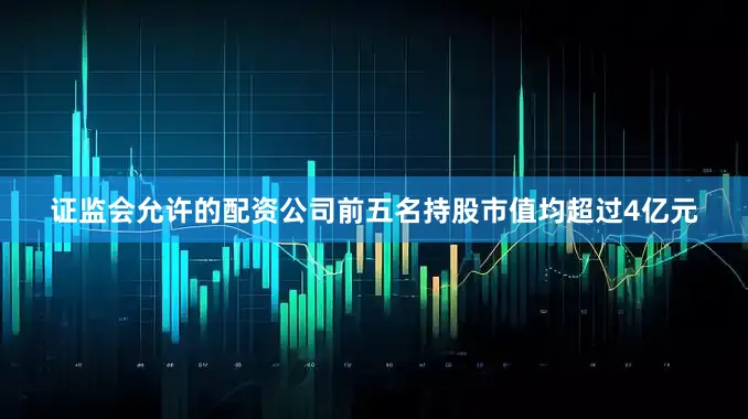 证监会允许的配资公司前五名持股市值均超过4亿元