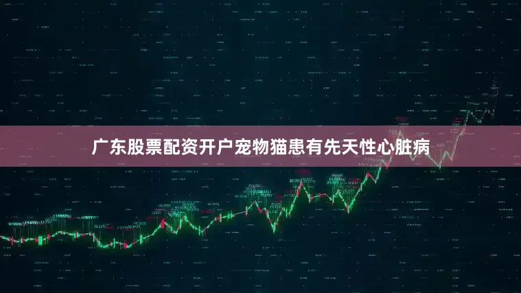 广东股票配资开户宠物猫患有先天性心脏病