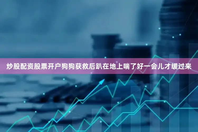 炒股配资股票开户狗狗获救后趴在地上喘了好一会儿才缓过来