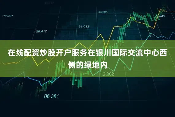 在线配资炒股开户服务在银川国际交流中心西侧的绿地内