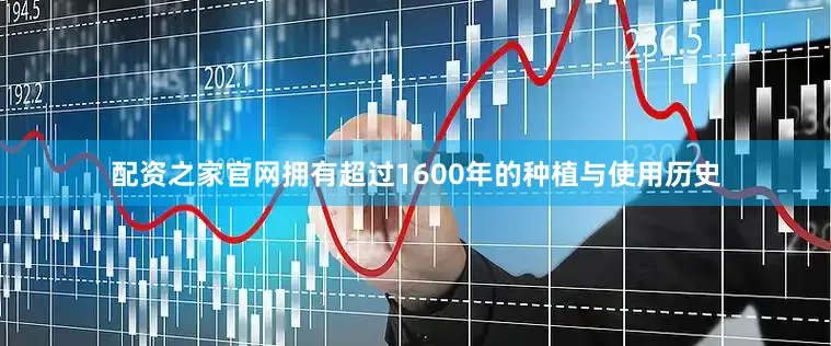 配资之家官网拥有超过1600年的种植与使用历史